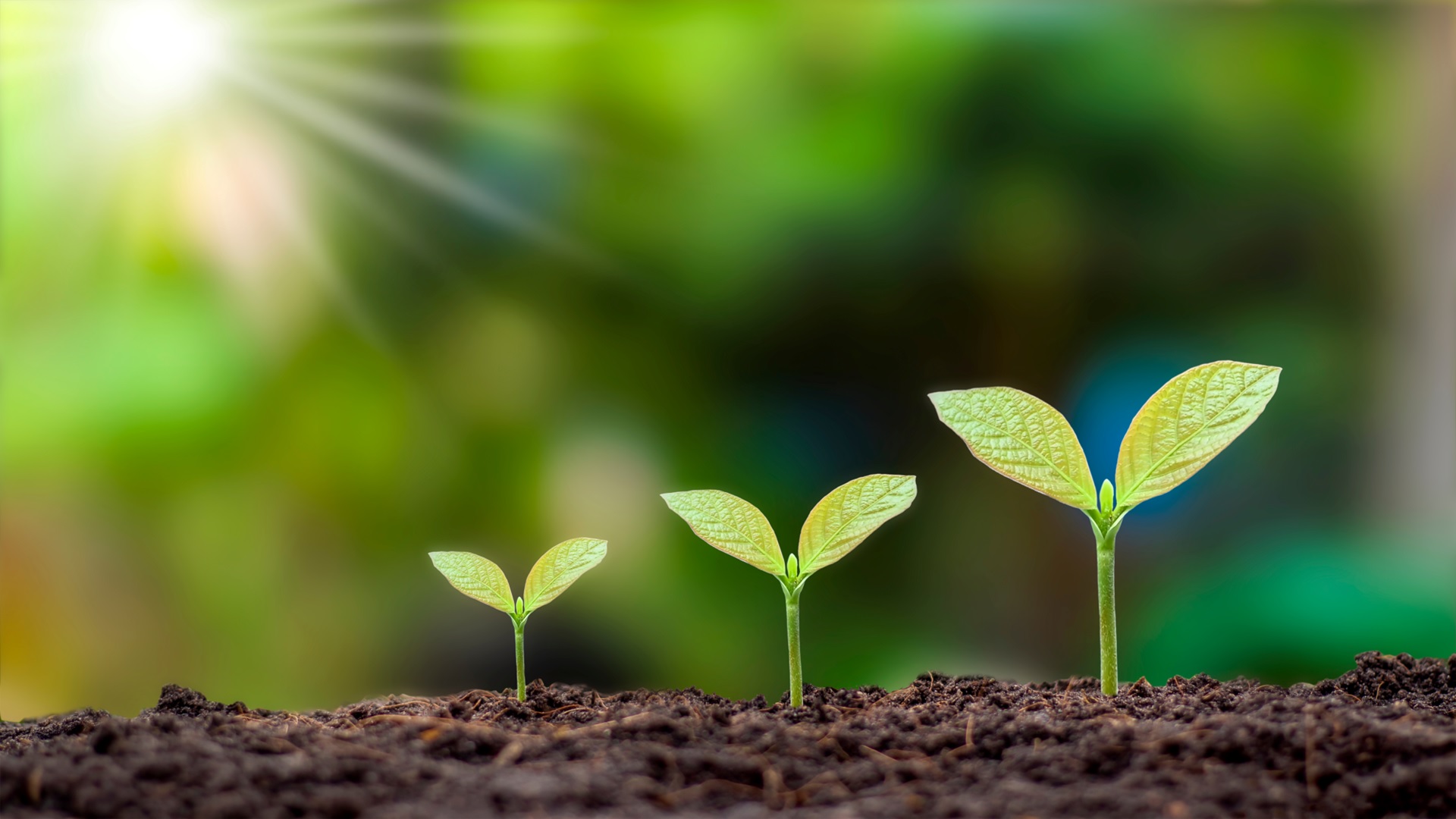 Green future